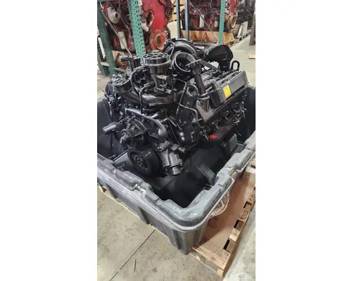 INTERNATIONAL VT365 Engine Assembly
