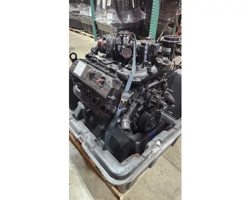 INTERNATIONAL VT365 Engine Assembly