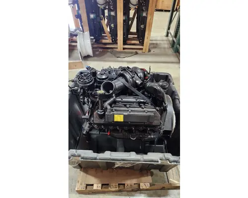 INTERNATIONAL VT365 Engine Assembly