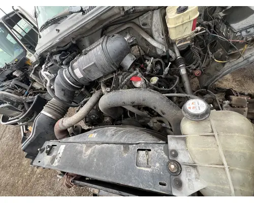 INTERNATIONAL VT365 Engine Assembly