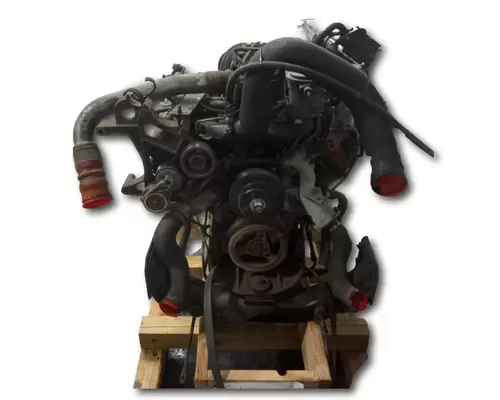 INTERNATIONAL VT365 Engine Assembly