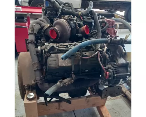 INTERNATIONAL VT365 Engine Assembly