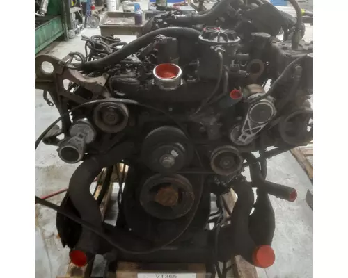 INTERNATIONAL VT365 Engine Assembly