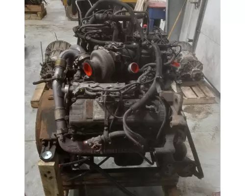 INTERNATIONAL VT365 Engine Assembly