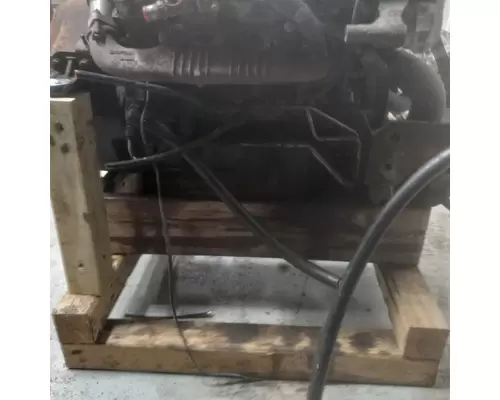 INTERNATIONAL VT365 Engine Assembly