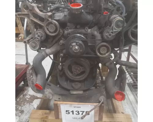 INTERNATIONAL VT365 Engine Assembly