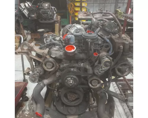 INTERNATIONAL VT365 Engine Assembly