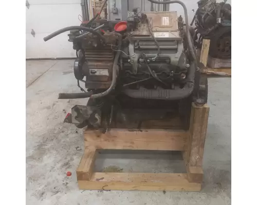 INTERNATIONAL VT365 Engine Assembly