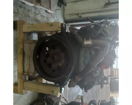 INTERNATIONAL VT365 Engine Assembly