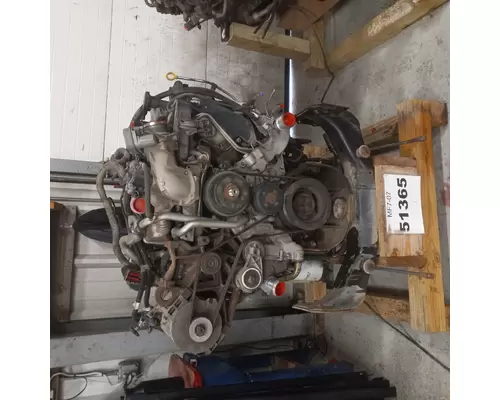 INTERNATIONAL VT365 Engine Assembly