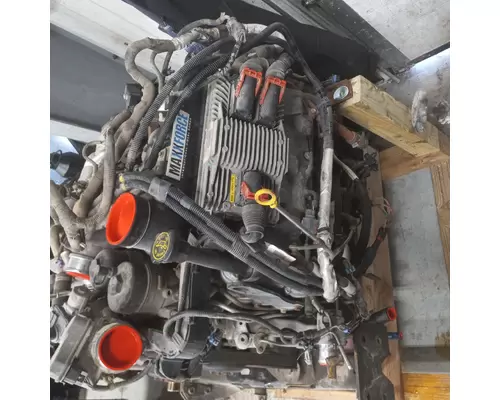 INTERNATIONAL VT365 Engine Assembly