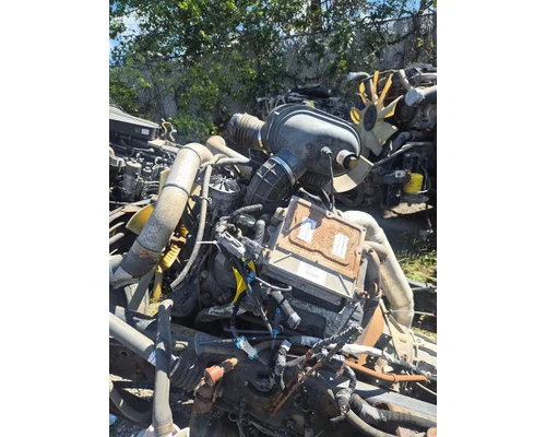 INTERNATIONAL VT365 Engine Assembly