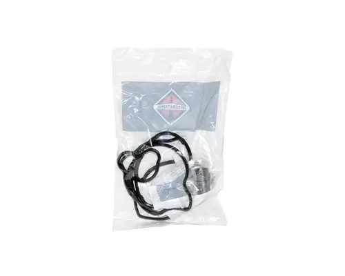 INTERNATIONAL VT365 Engine Parts, Misc.