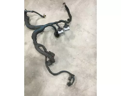 INTERNATIONAL VT365 Engine Wiring Harness