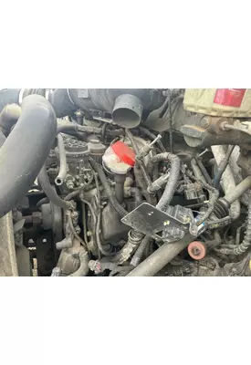 INTERNATIONAL VT365 Oil Pan