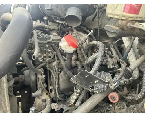 INTERNATIONAL VT365 Oil Pump