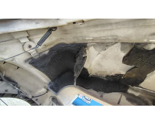INTERNATIONAL WorkStar 7400 Hood