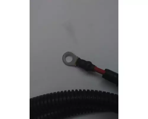 INTERNATIONAL  Battery