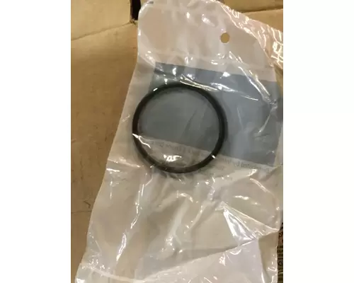 INTERNATIONAL  Belt Tensioner