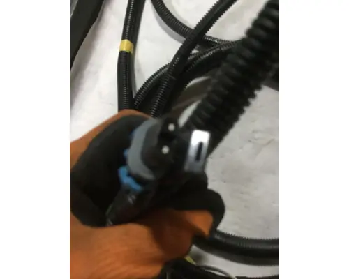 INTERNATIONAL  Body Wiring Harness