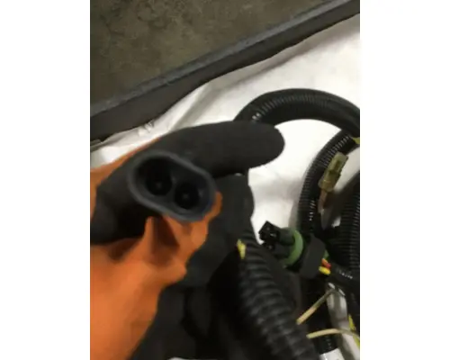 INTERNATIONAL  Body Wiring Harness