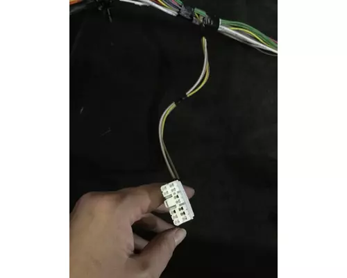 INTERNATIONAL  Body Wiring Harness