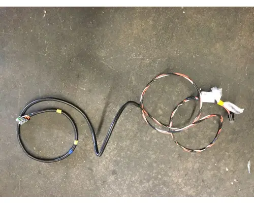 INTERNATIONAL  Body Wiring Harness
