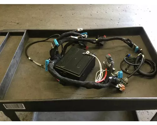 INTERNATIONAL  Body Wiring Harness