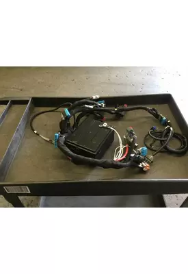 INTERNATIONAL  Body Wiring Harness