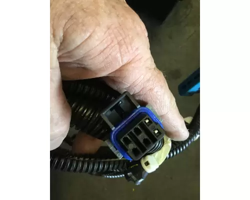 INTERNATIONAL  Body Wiring Harness