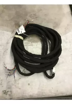 INTERNATIONAL  Body Wiring Harness