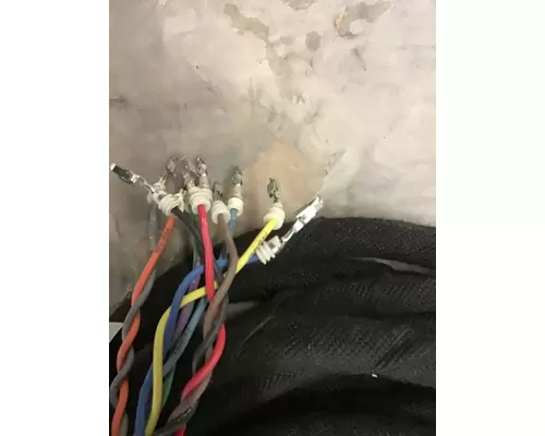 INTERNATIONAL  Body Wiring Harness