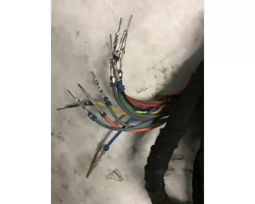 INTERNATIONAL  Body Wiring Harness