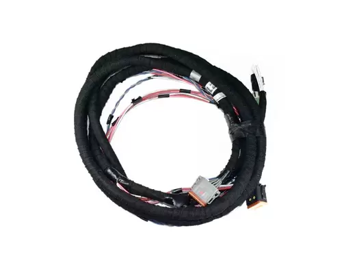INTERNATIONAL  ECM (Chassis)