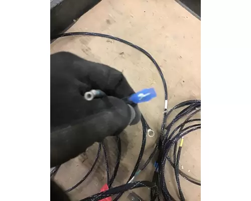 INTERNATIONAL  Electronic Parts, Misc.