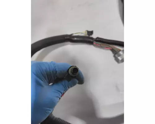INTERNATIONAL  Engine Wiring Harness
