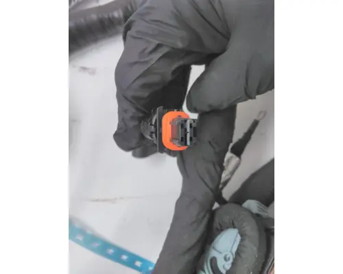 INTERNATIONAL  Engine Wiring Harness