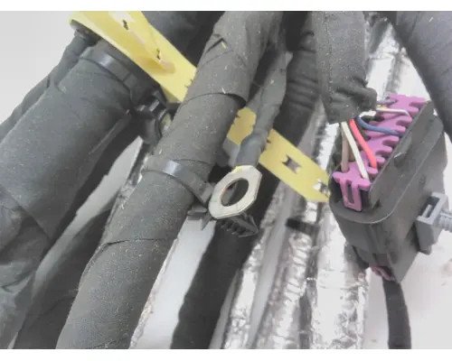 INTERNATIONAL  Engine Wiring Harness