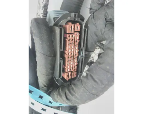INTERNATIONAL  Engine Wiring Harness