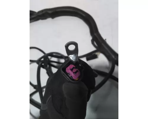INTERNATIONAL  Engine Wiring Harness