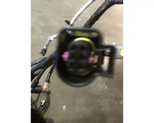 INTERNATIONAL  Engine Wiring Harness