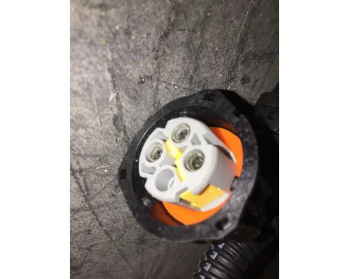 INTERNATIONAL  Engine Wiring Harness