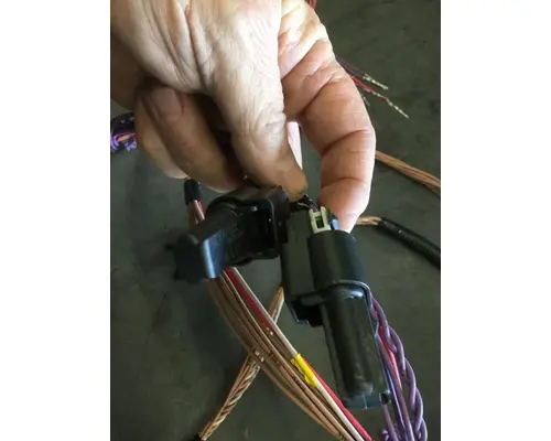 INTERNATIONAL  Engine Wiring Harness