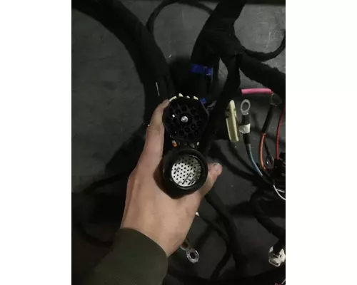 INTERNATIONAL  Engine Wiring Harness