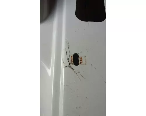 INTERNATIONAL  Fender