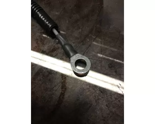 INTERNATIONAL  Fuel Pump (Injection)