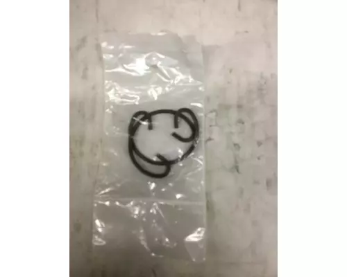 INTERNATIONAL  Piston