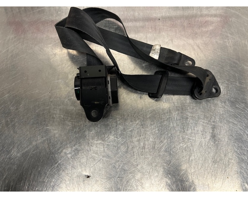 INTERNATIONAL  Seat Belt
