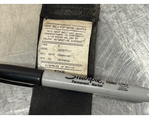INTERNATIONAL  Seat Belt