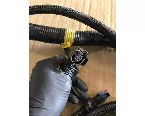 INTERNATIONAL  WIRING HARNESS, ENGINE